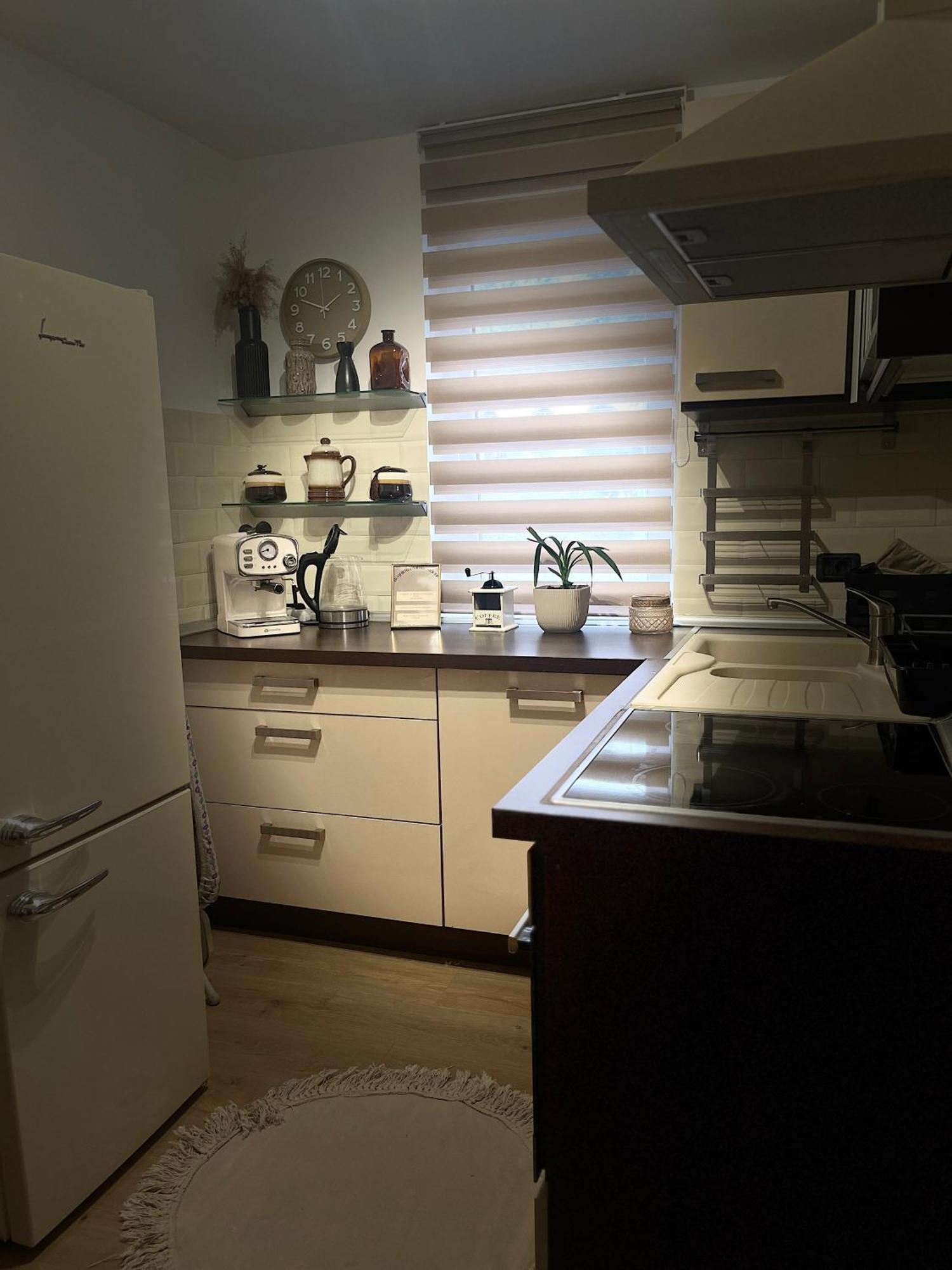 Roman Residence Apartment Борша Екстер'єр фото