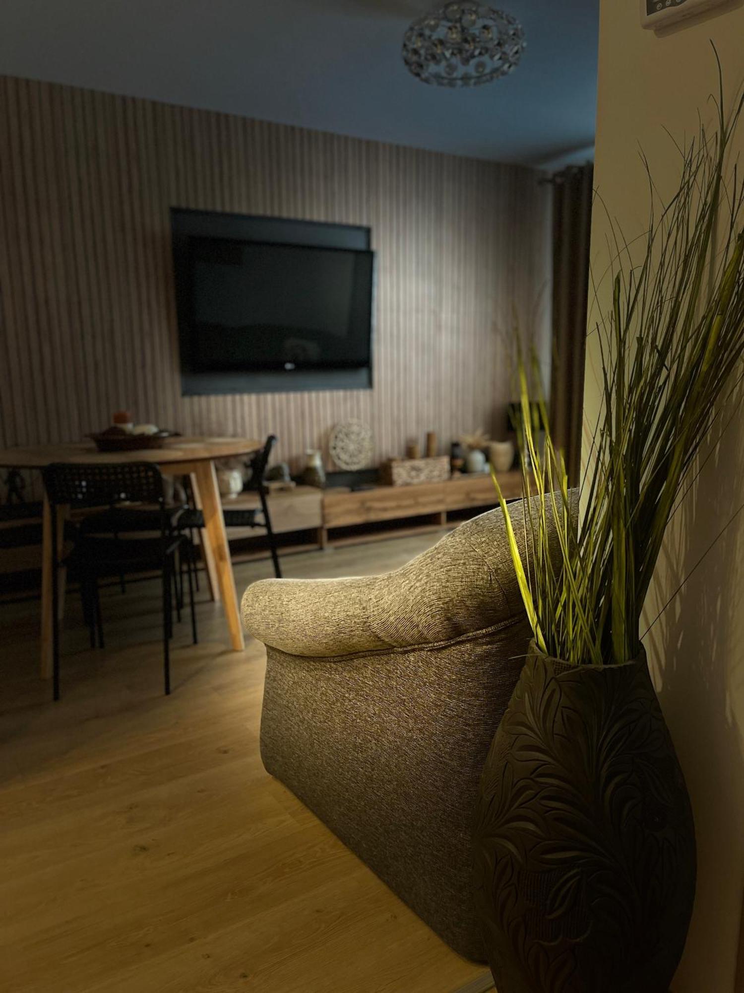 Roman Residence Apartment Борша Екстер'єр фото